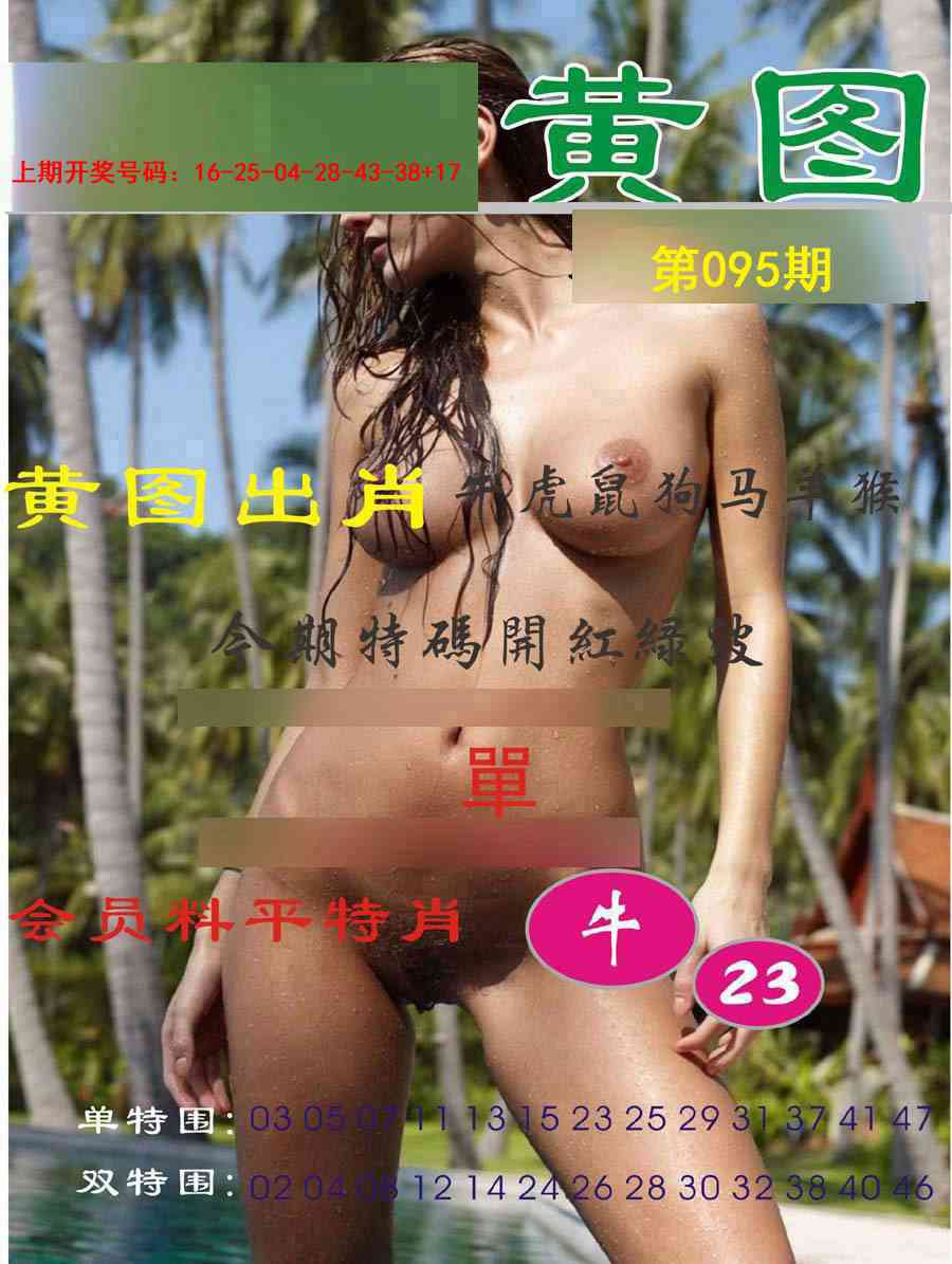 095期黄图[图]