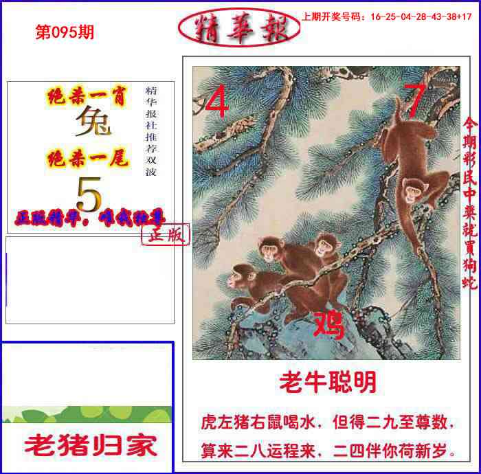 095期新精华报报[图]