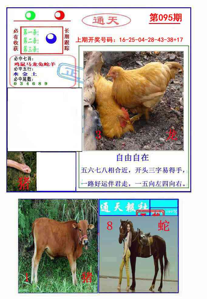 095期通天杀波图2[图]